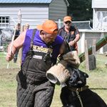 Helper Education (10)