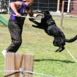 Helper Education (11)