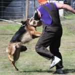 Helper Education (12)