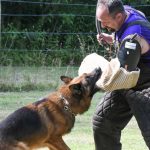 Helper Education (13)