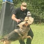 Helper Education (14)