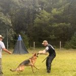 Helper Education (15)