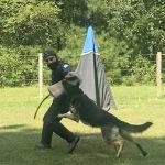 Helper Education (18)