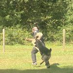 Helper Education (22)