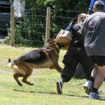 Helper Education (3)