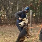 Helper Education (31)