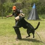 Helper Education (32)