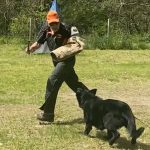 Helper Education (33)