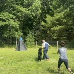 Helper Education (36)