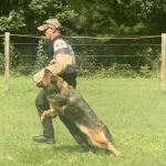 Helper Education (37)