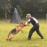 Helper Education (40)