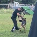 Helper Education (41)