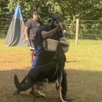 Helper Education (48)