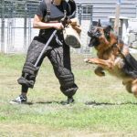 Helper Education (5)