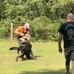 Helper Education (53)