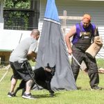 Helper Education (6)