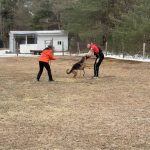 Helper Education (60)