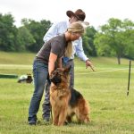 Youth education seminar (9)