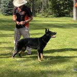 confirmation handler seminar (17)