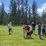 confirmation handler seminar (5)